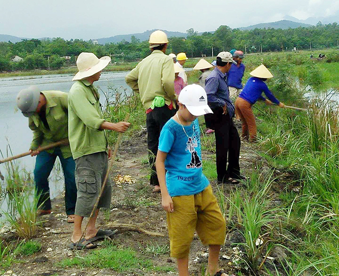 Các lực lượng ra quân diệt chuột trên cánh đồng xã Vạn Ninh