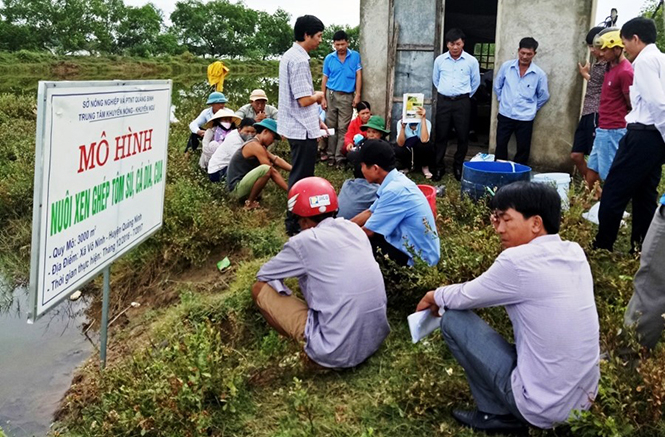 Bà con tham quan mô hình nuôi xen ghép cá dìa, tôm sú và cua tại hộ bà Lê Thị Lịch ở thôn Trúc Ly, xã Võ Ninh, huyện Quảng Ninh.