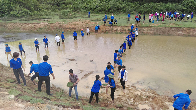 Với tinh thần xung kích, tình nguyện, lực lượng ĐVTN huyện Bố Trạch chung tay khắc phục hậu quả thiên tai. (Trong ảnh: Đắp đê chống xói lở tại Ngọn Rào, Xuân Trạch).