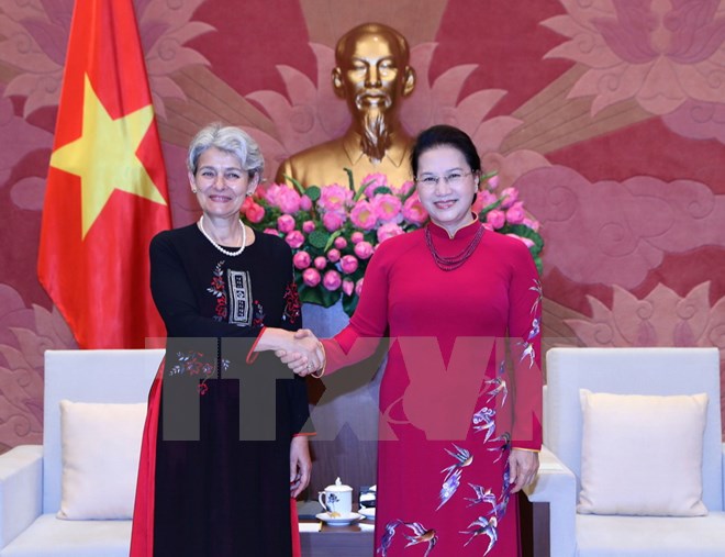 Chủ tịch Quốc hội Nguyễn Thị Kim Ngân tiếp bà Irina Bokova, Tổng Giám đốc Tổ chức Giáo dục-Khoa học và Văn hóa của Liên hợp quốc (UNESCO) đang thăm chính thức Việt Nam. (Ảnh: Trọng Đức/TTXVN)