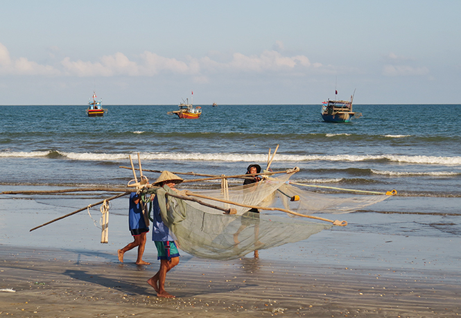 Bờ biển Cảnh Dương đẹp yên bình, nơi 375 năm qua đã có 17 xác cá voi dạt vào.