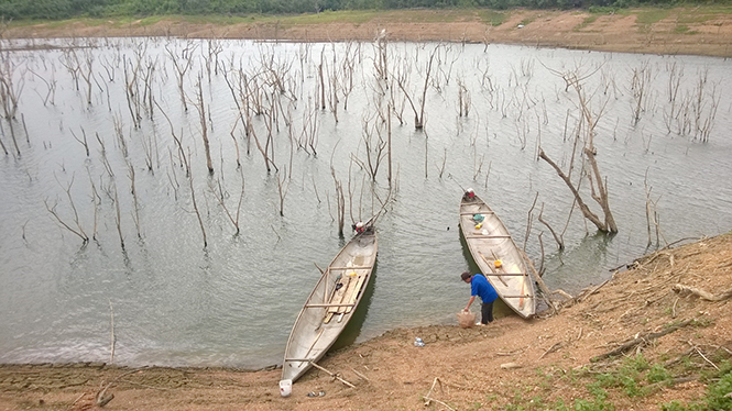  Một góc hồ Rào Đá ở huyện Quảng Ninh, địa điểm thường có các hoạt động thả cá giống về với môi trường tự nhiên.