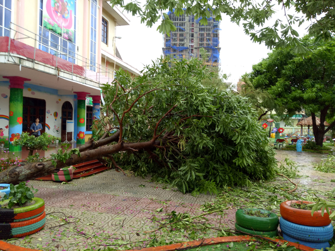 … và khu vui chơi của các bé.