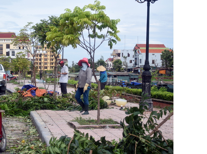 Công nhân Trung tâm cây xanh dựng và trồng lại cây 