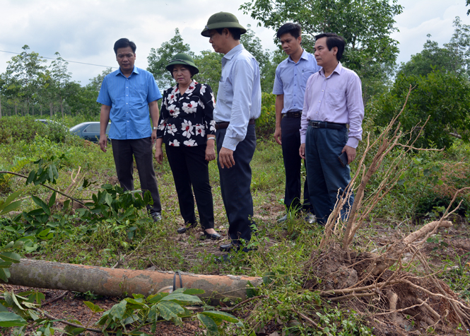 ...và Công ty LCN Long Đại 