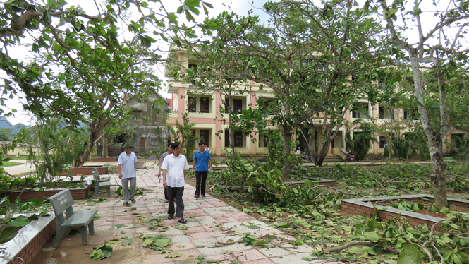 Tan hoang Trường THPT Phan Bội Châu.