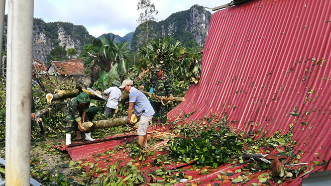 Giúp nhân dân dọn vườn