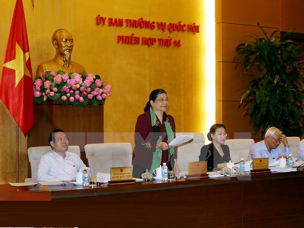Phó Chủ tịch Quốc hội Tòng Thị Phóng phát biểu. (Ảnh: Nguyễn Dân/TTXVN)