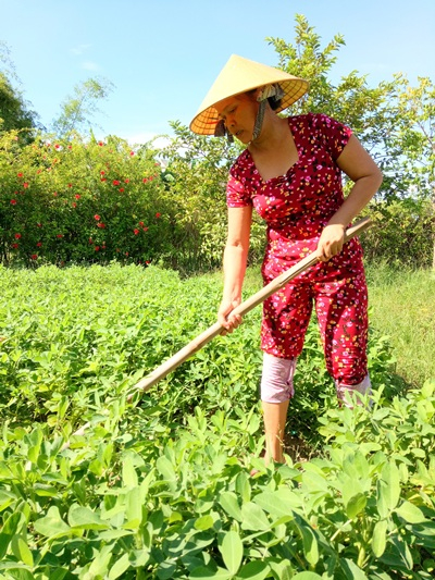 Chị Đoàn Thị Kim Hương luôn sẵn sàng chia sẻ kinh nghiệm làm kinh tế của mình với các chị em.