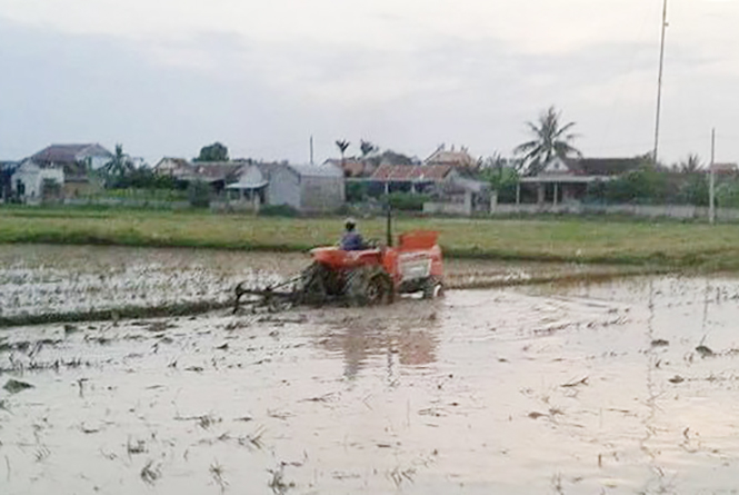 Dồn điền đổi thửa đã tạo ra các ô thửa có diện tích lớn, thuận lợi cho việc đưa cơ giới vào sản xuất.