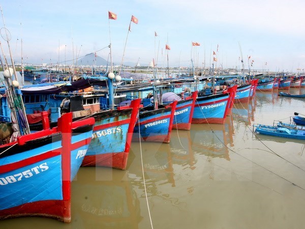 Hình chỉ mang tính minh họa. (Ảnh: TTXVN)