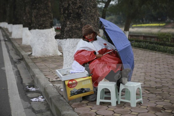 (Ảnh minh họa: Hà My/TTXVN)