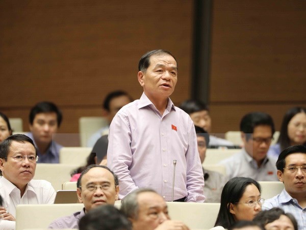 Đại biểu Quốc hội tỉnh Cà Mau Lê Thanh Vân chất vấn. (Ảnh: Phương Hoa/TTXVN)