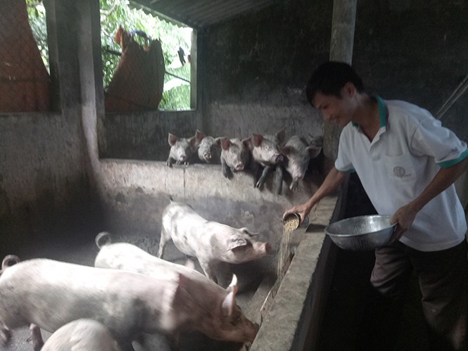 Vượt lên tật nguyền, anh Lê Anh Tuấn là tấm gương sáng về phát triển kinh tế.