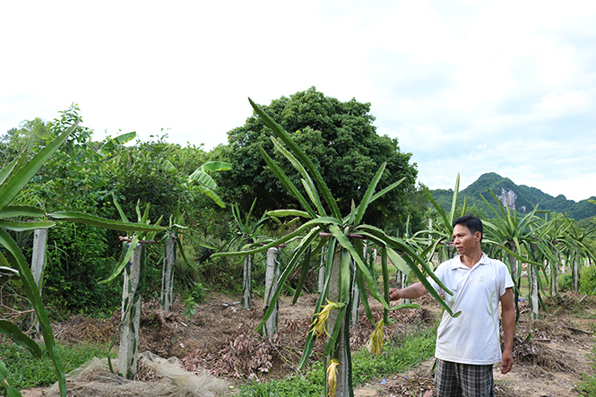 Một mô hình 