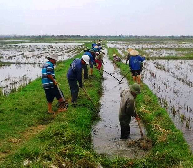     Nông dân thị xã Ba Đồn triển khai làm thuỷ lợi nội đồng chuẩn bị vụ sản xuất mới