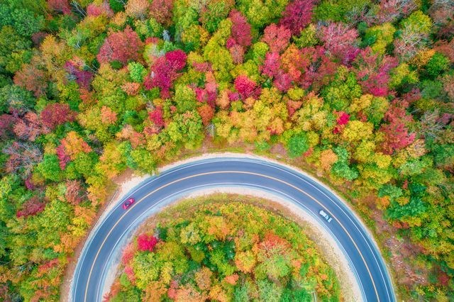 Cung đường dọc xa lộ Kancamagus ở tiểu bang New Hampshire, Mỹ. (Nguồn: National Geographic)