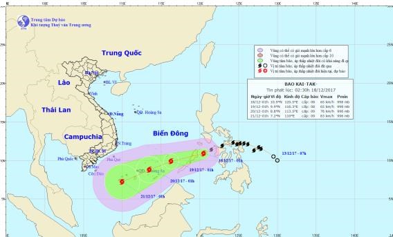 Chùm ảnh đường đi và vị trí cơn bão. (Nguồn: nchmf.gov.vn)