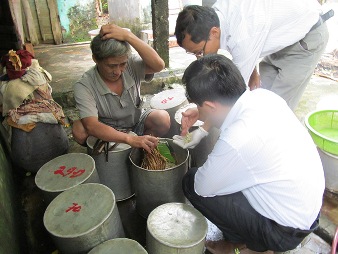 Cơ quan chức năng đang kiểm tra chất lượng thực phẩm ở một cơ sở sản xuất giá đỗ.