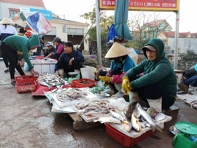 Hoạt động khai thác, mua bán thủy sản nhộn nhịp trở lại.