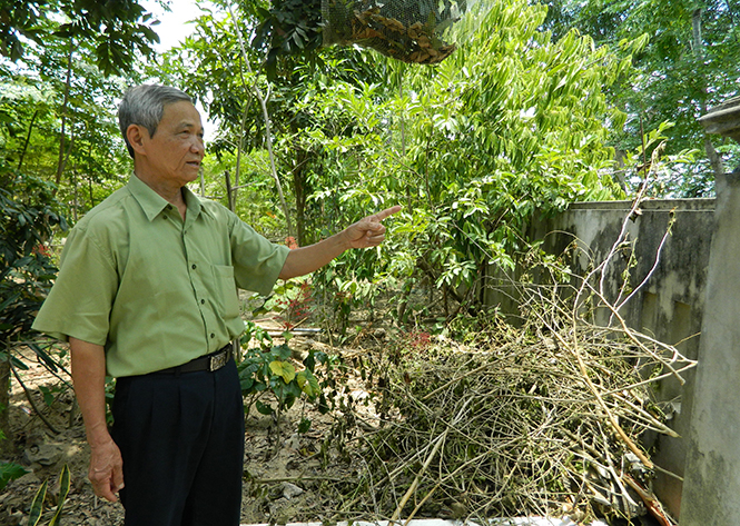 Ông Phan Thế Dầng (xã Quảng Tân) tình nguyện hiến 140m2 đất và tài sản trên đất của gia đình để làm đường xây dựng nông thôn mới.