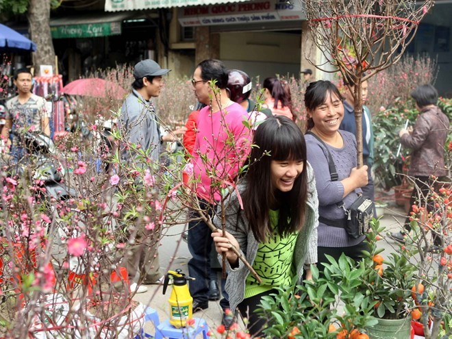  Chợ hoa Hàng Lược. (Ảnh: Phạm Kiên/TTXVN)