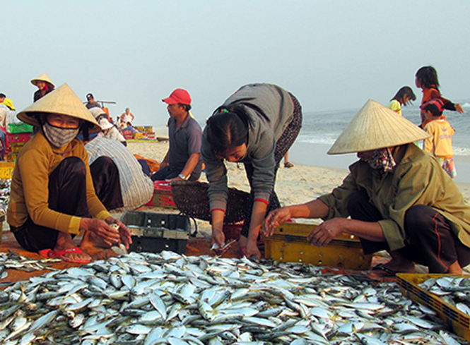 Những chuyến biển đầu năm thuận lợi hứa hẹn một năm bội thu.