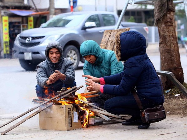 (Ảnh minh họa: Quang Quyết/TTXVN)