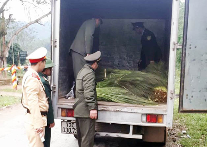 Các lực lượng chức năng huyện Quảng Ninh phối hợp tăng cường tuần tra kiểm soát giữ gìn an ninh trật tự trên địa bàn.