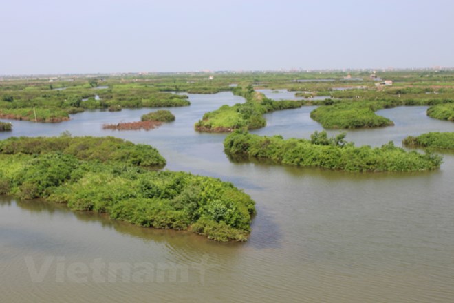 Ảnh minh họa. (Nguồn: Hùng Võ/Vietnam+)