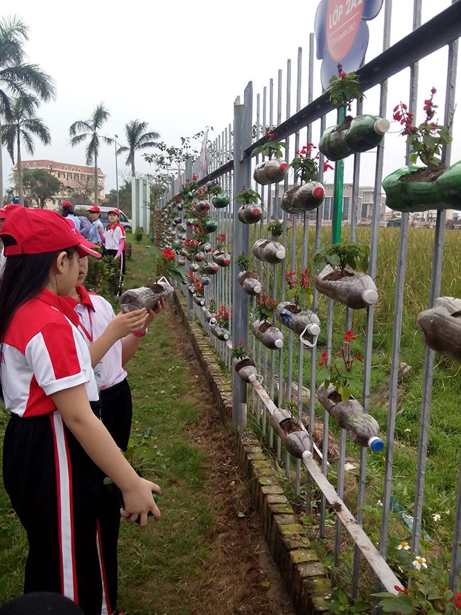 Nhờ những hàng rào xanh, khuôn viên Trường tiểu học Chu Văn An trở nên sống động, mềm mại hơn.