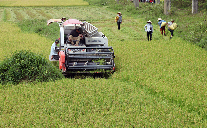 Nông dân Tuyên Hoá đẩy mạnh đưa cơ giới hoá vào đồng ruộng.