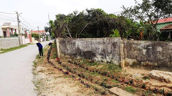 Người dân đang tiến hành trồng hoa để xây dựng đường hoa ở một khu dân cư của phường Đồng Sơn.