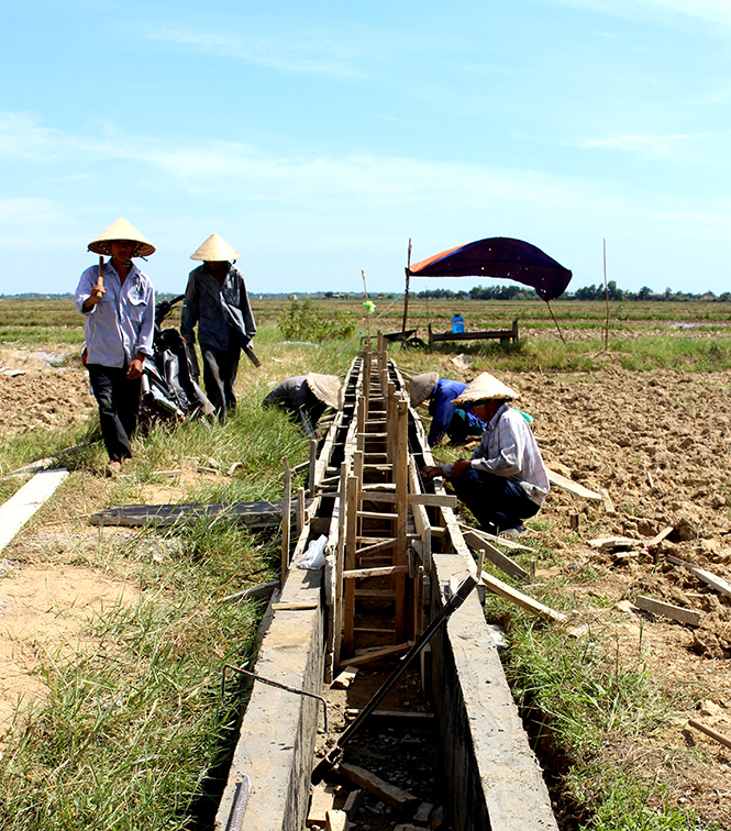 Hệ thống kênh mương nội đồng được HTX DVNN Thượng Phong quan tâm.