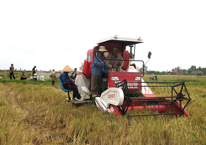 Cơ giới hóa nông nghiệp ở HTX DVNN Thượng Phong.