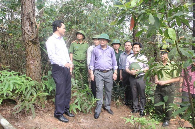 Đồng chí Lê Minh Ngân, Tỉnh ủy viên, Phó Chủ tịch UBND tỉnh đã đi kiểm tra thực địa công tác quản lý bảo vệ rừng tại huyện Tuyên Hóa.