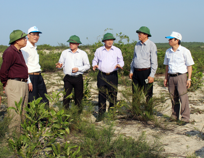 Đồng chí Lê Minh Ngân, Phó Chủ tịch UBND tỉnh cùng đoàn làm việc kiểm tra công tác trồng rừng tại thực địa.