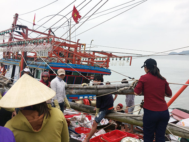 Hàng ngày tại cảng cá Hòn La những tàu đánh bắt xa, gần bờ luôn tấp nập kẻ bán người mua, đây là dấu hiệu khẳng định sự bình thường của môi trường biển.