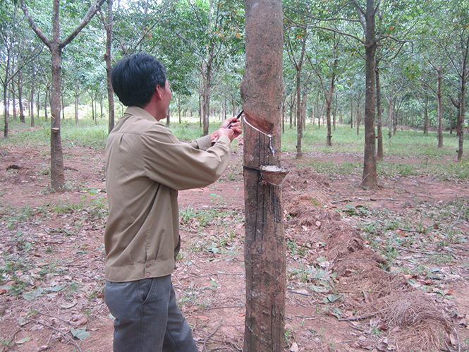 Nhiều doanh nghiệp chưa thực hiện nghiêm các quy định pháp luật lao động đối với người lao động