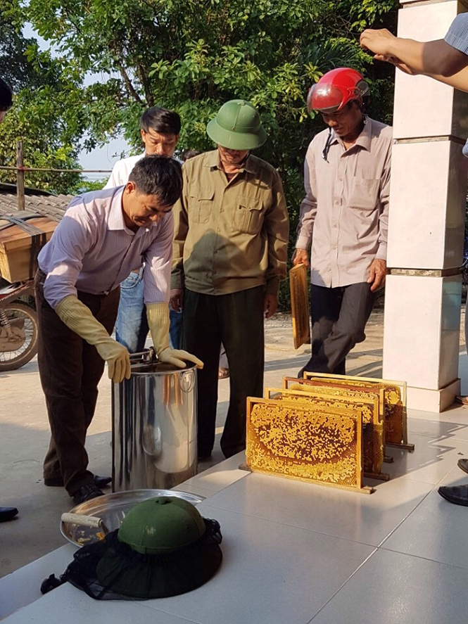 Nông dân huyện Bố Trạch phát triển kinh tế, góp phần làm giàu cho quê hương. Tải