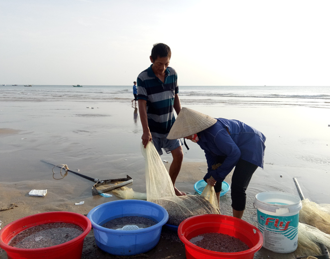 Ngư dân chuyển ốc ruốc biển vừa cào được vào bờ.