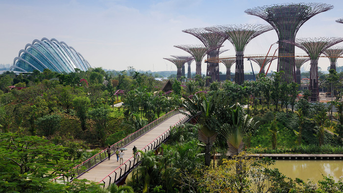 Khu công viên tự nhiên Gardens By the Bay, địa điểm được 30% người tham gia khảo sát đề nghị mời ông Trump và ông Kim tới tham quan - Ảnh: GARDEN BY THE BAY