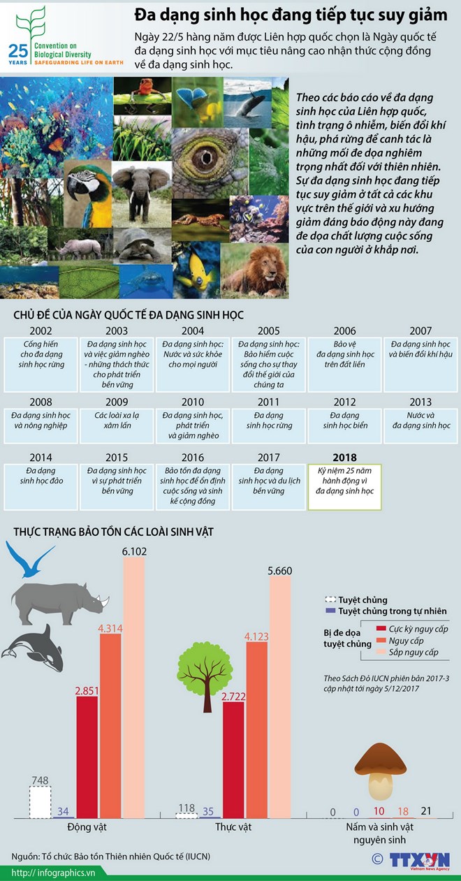 Ngày 22-5 hàng năm được Liên hợp quốc chọn là Ngày quốc tế đa dạng sinh học với mục tiêu nâng cao nhận thức cộng đồng về đa dạng sinh học./.