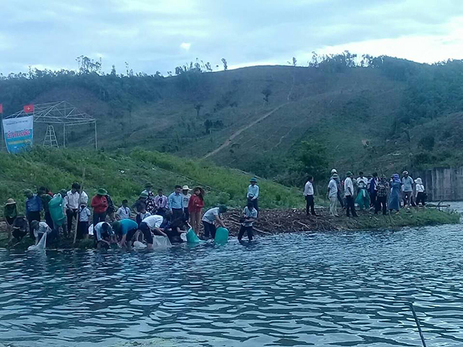 Lãnh đạo và nhân dân huyện Minh Hóa đang thả cá giống xuống đập Ba Nương