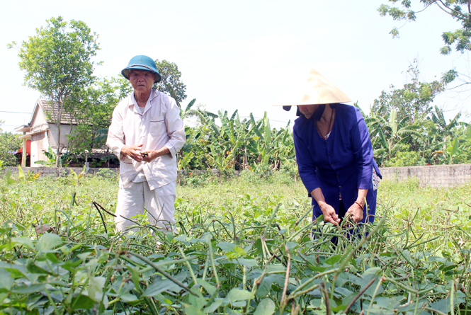 Ông Minh còn có một gia đình êm ấm hạnh phúc bên người vợ hiền.