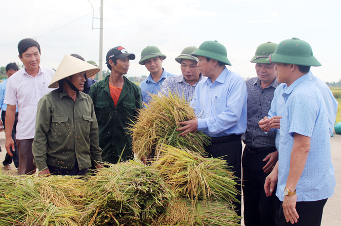 Đồng chí Bí thư Tỉnh uỷ trò chuyện với bà con nông dân xã Lộc Thuỷ