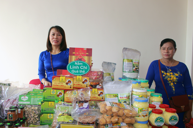 Nấm linh chi và tinh bột nghệ, sản phẩm chất lượng của Quảng Bình.