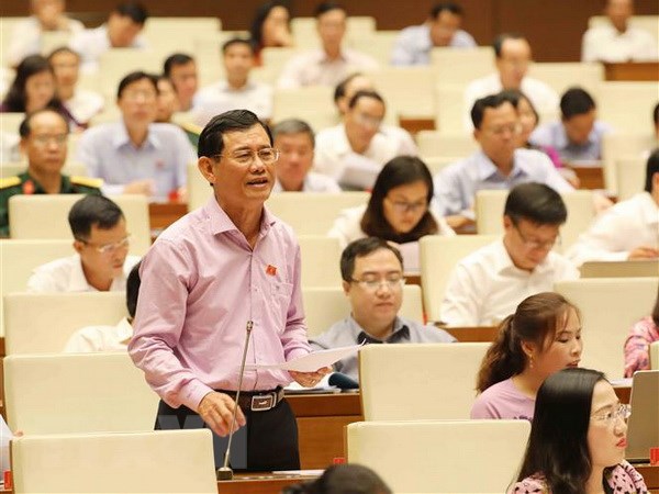 Đại biểu Quốc hội tỉnh Quảng Bình Bùi Ngọc Phương phát biểu. (Ảnh: Phương Hoa/TTXVN)