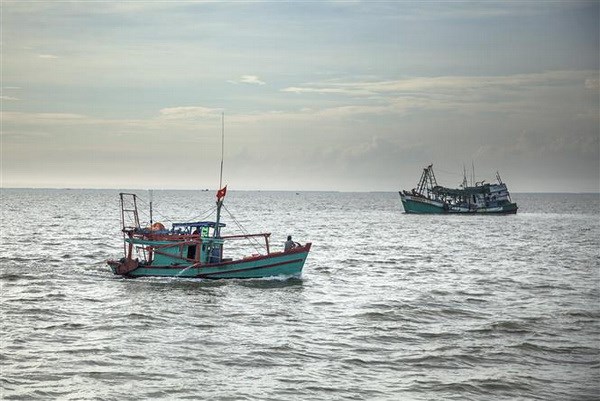 Tàu đánh bắt xa bờ. (Ảnh: Hồng Đạt/TTXVN)
