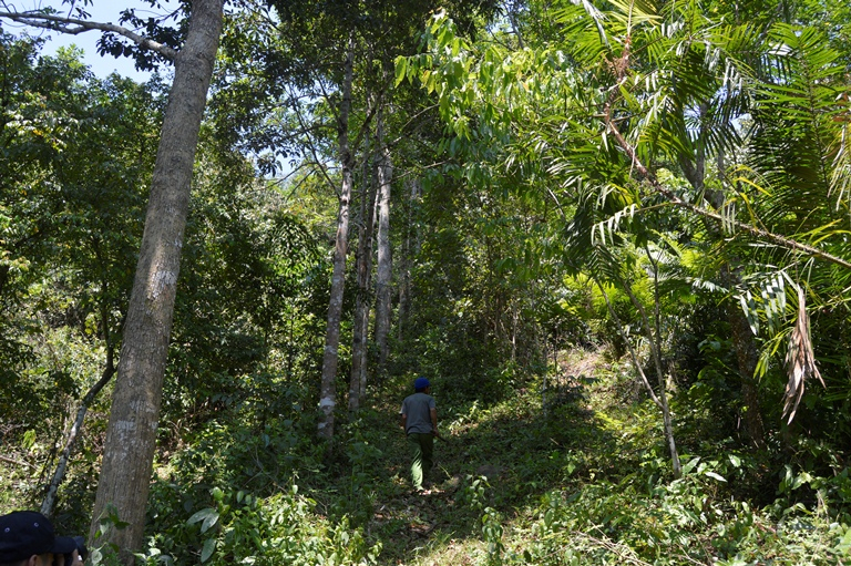 Nhờ